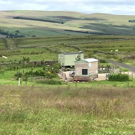 The Buteland Stop Rosie Off Grid Shepherds Hut Bellingham Exterior foto