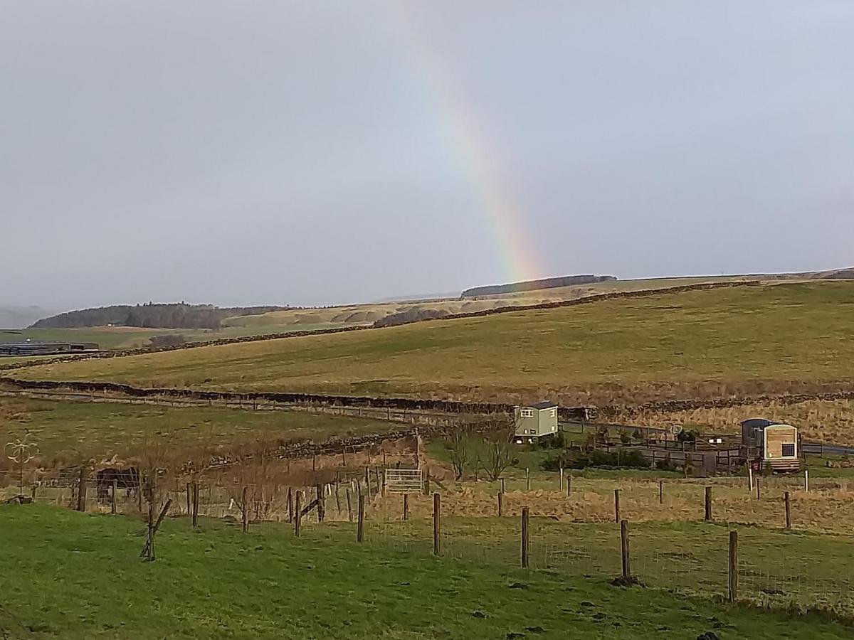 The Buteland Stop Rosie Off Grid Shepherds Hut Bellingham Exterior foto