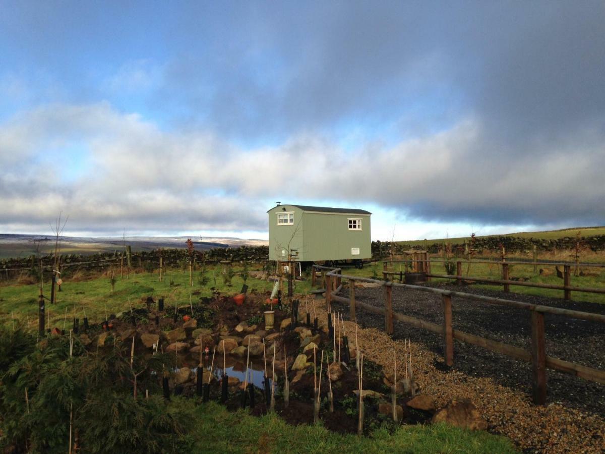 The Buteland Stop Rosie Off Grid Shepherds Hut Bellingham Exterior foto
